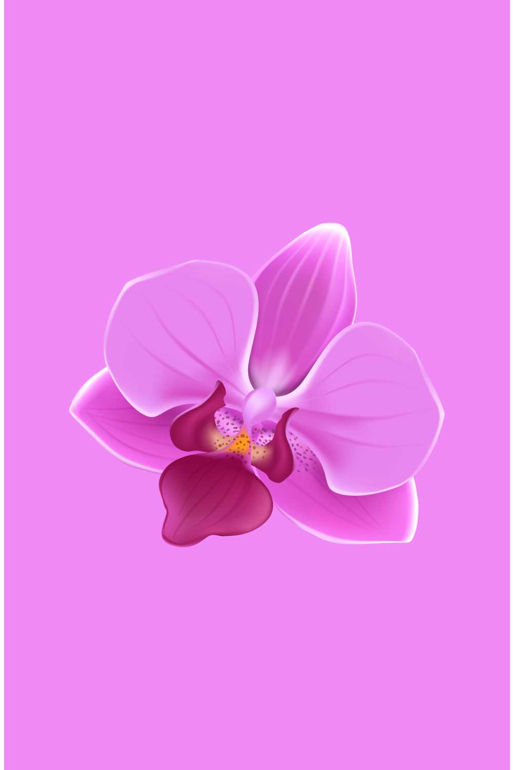 A single, vibrant pink orchid flower with a dark red center pinterest preview image.