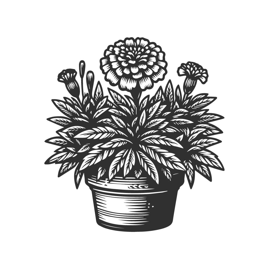 Close-up of a marigold plant in a pot bold line art design on a white background preview image.