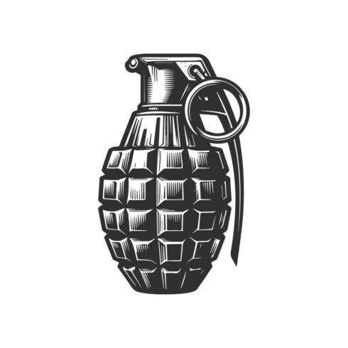 Black and white bold line art of a hand grenade cover image.