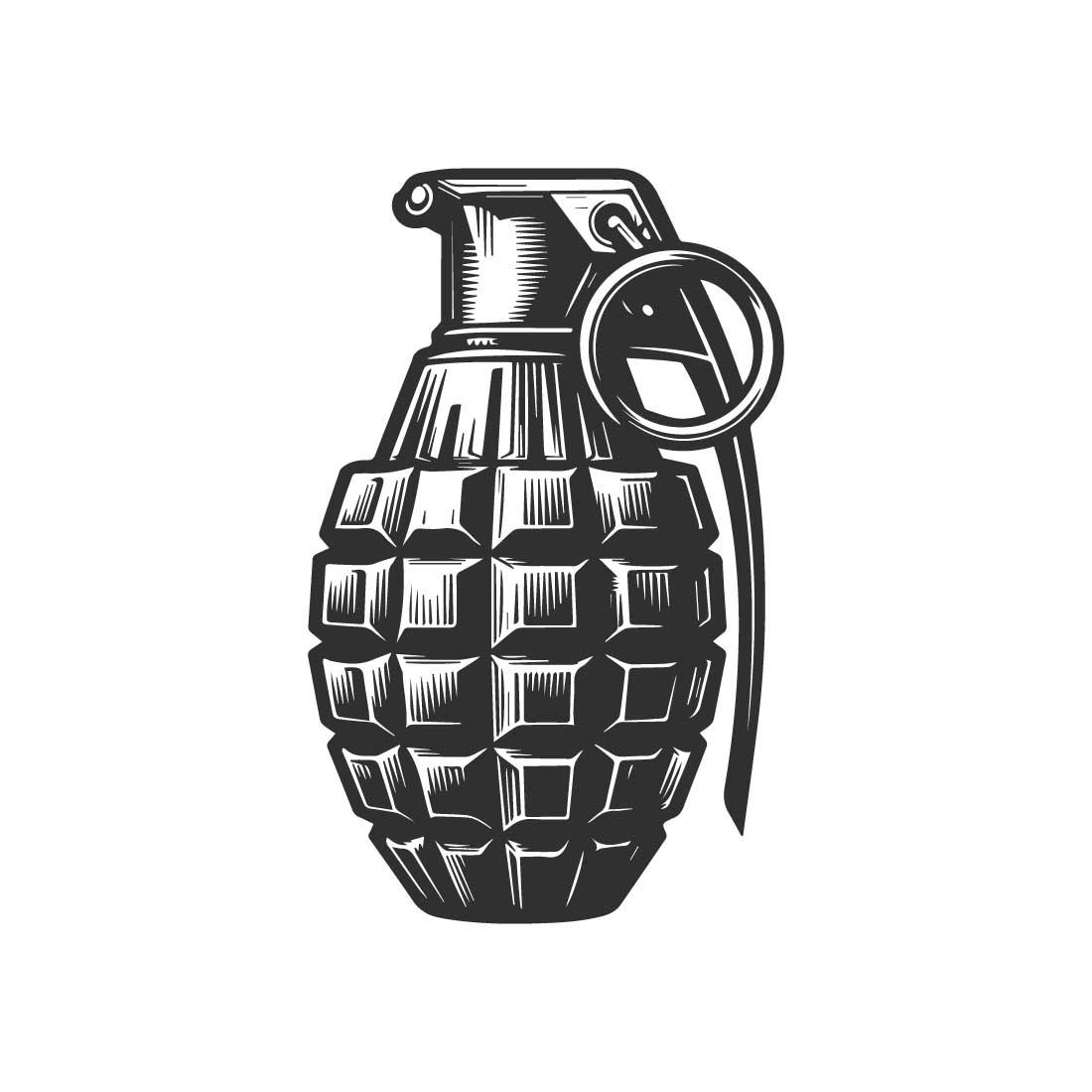 Black and white bold line art of a hand grenade cover image.