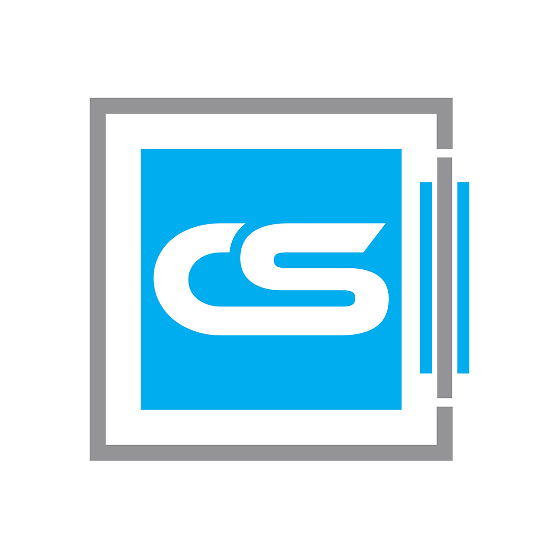 initial letter cs logo or icon design vector image template 501