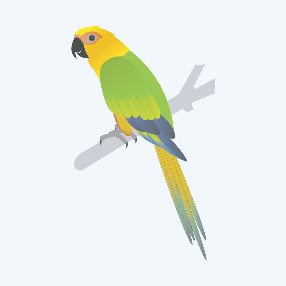 Jandaya parakeet Vector preview image.