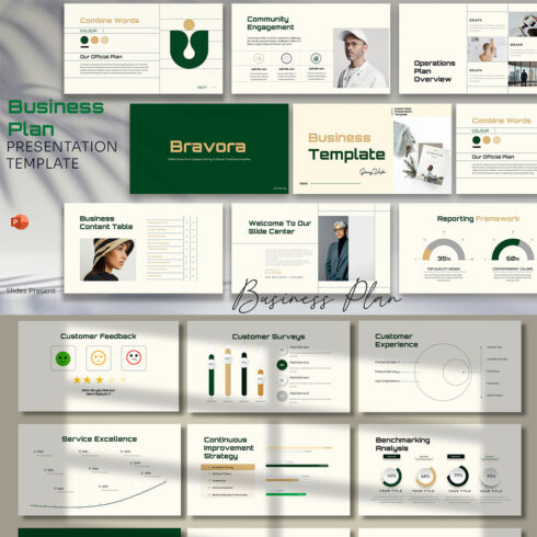 Bravora A Business Plan Presentation cover image.