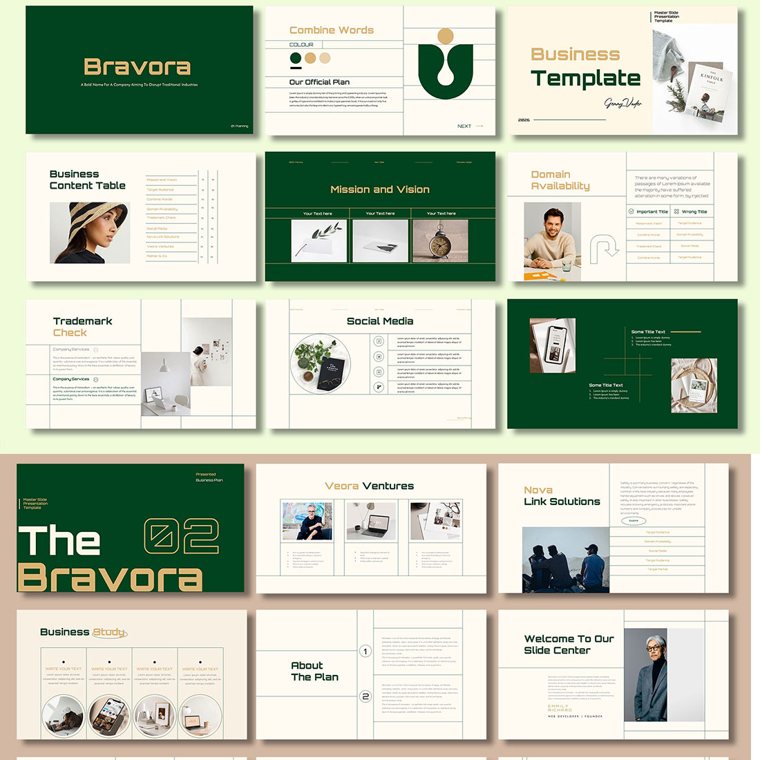 Bravora A Business Plan Presentation preview image.