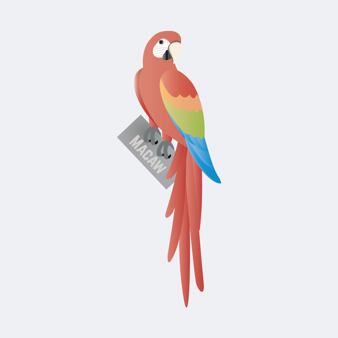 Macaw Parrot Vector preview image.