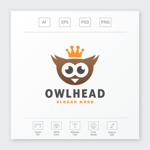 Cute Owl Head Logo cover image.