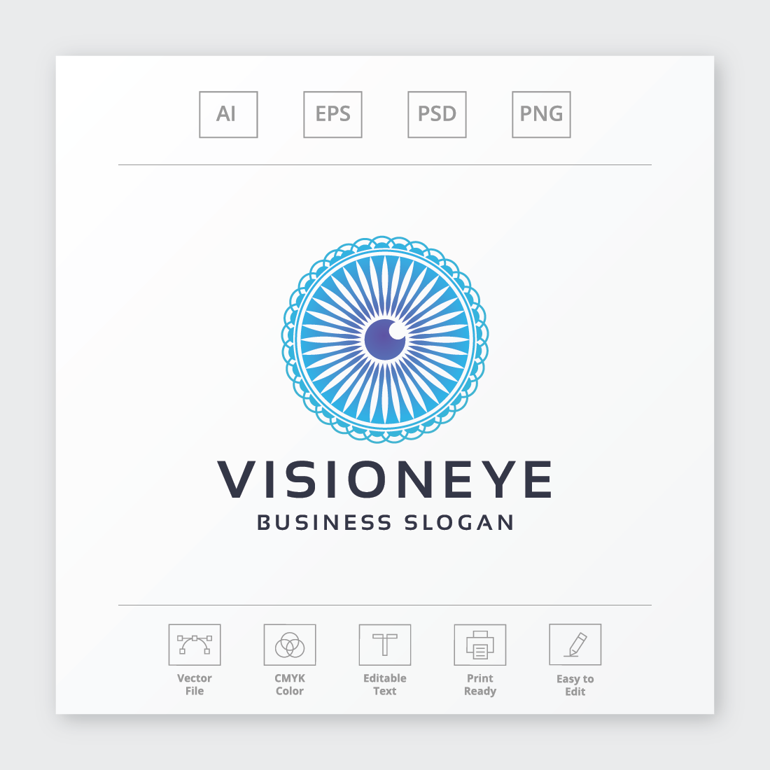 Vision Eye Lens Logo preview image.