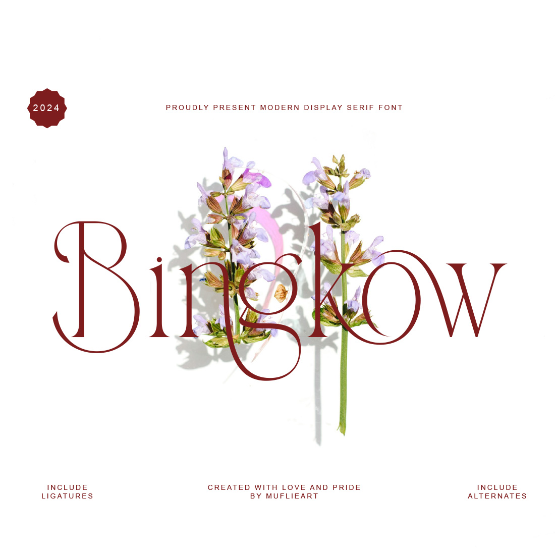 Bingkow Display Serif cover image.