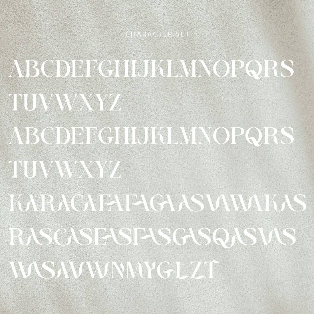 Asiva Elegant Serif preview image.