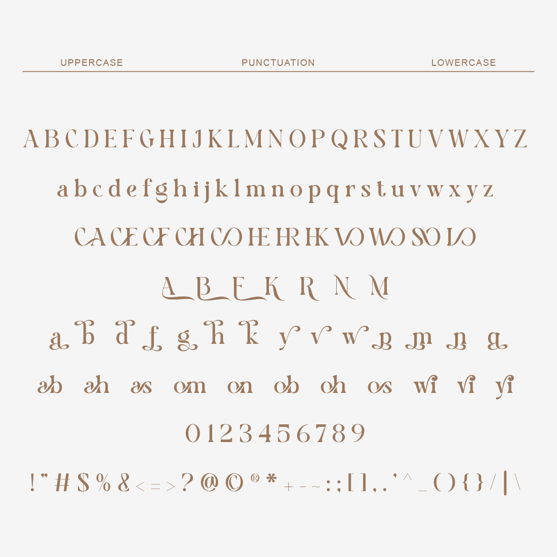 Alivia Elegant Serif preview image.