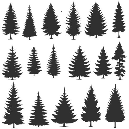 A collection of silhouettes of Pine trees cover image.