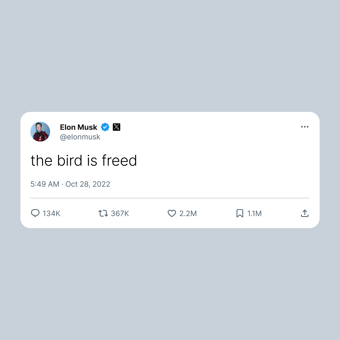 the bird is freed white 797