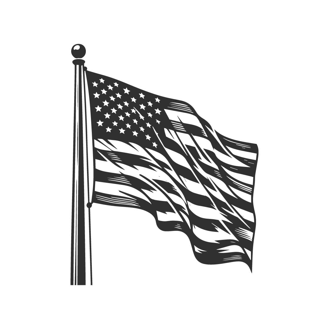 Black and white illustration of an American flag waving on a pole, isolated on a white background cover image.