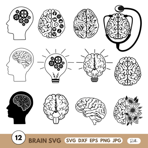 Brain Svg Bundle cover image.