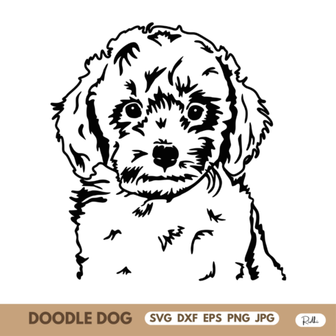 Doodle Dog cover image.