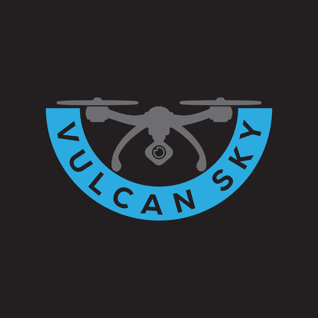 Drone Logo or Icon Design Vector Image Template preview image.