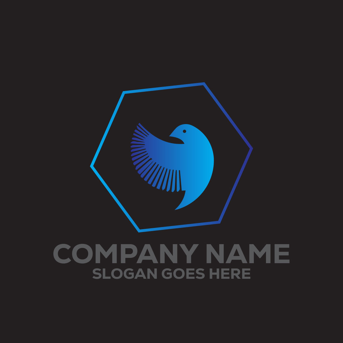 Bird Logo or Icon Design Vector Image Template preview image.