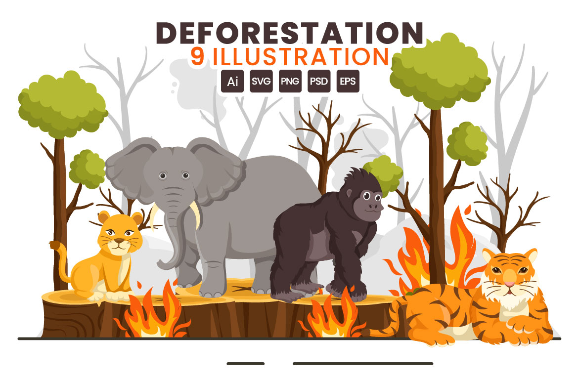 deforestation 01 751