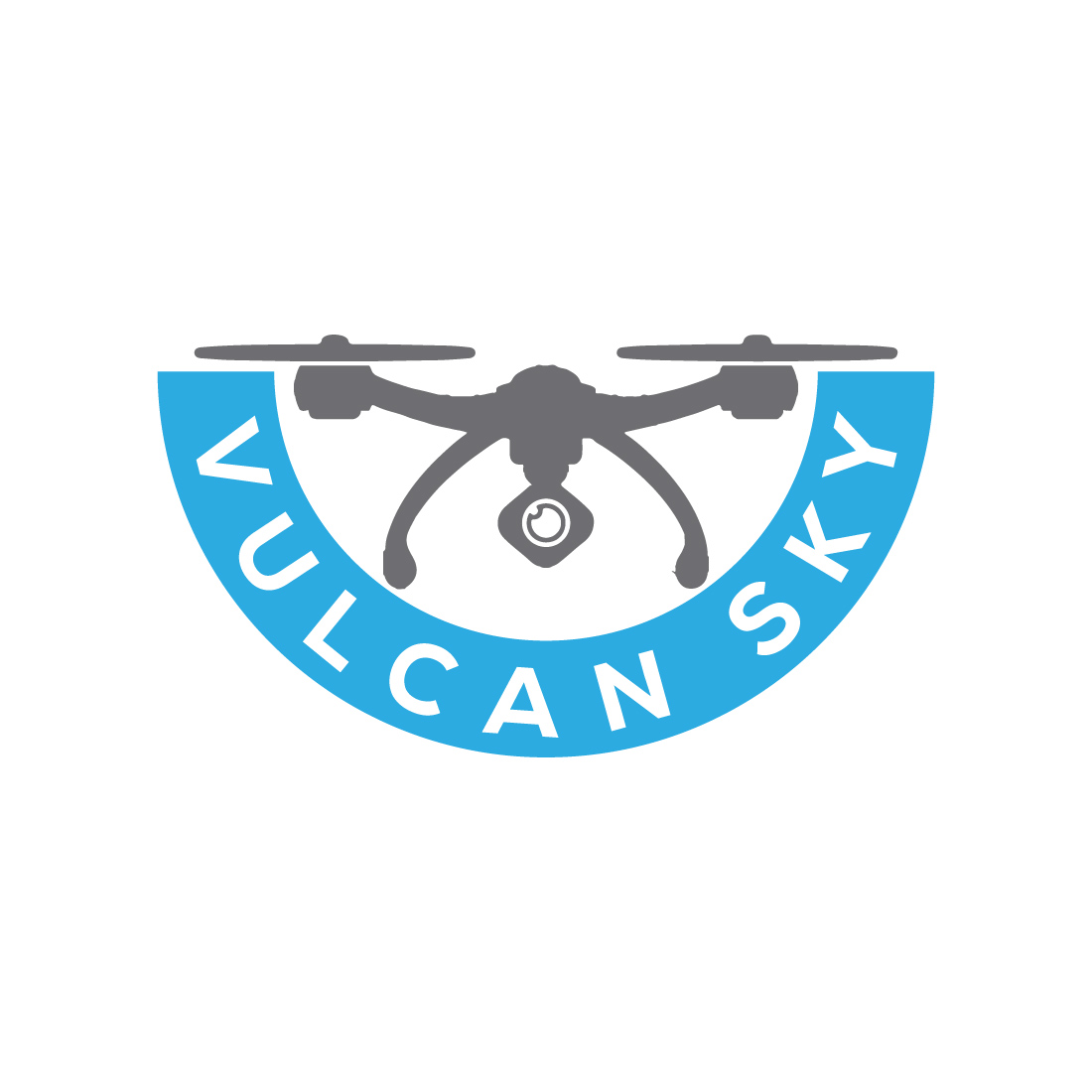 drone logo or icon design vector image template 204