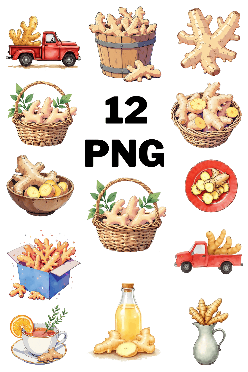 Watercolor Ginger Root Illustration Clipart pinterest preview image.