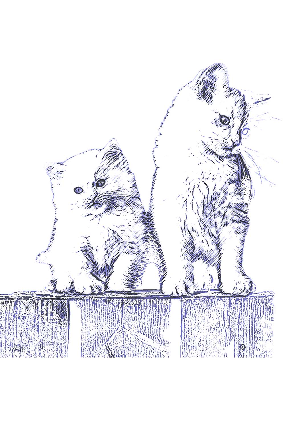 Pet Pencil Sketch Photoshop Action pinterest preview image.