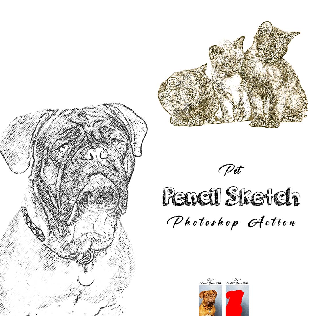 Pet Pencil Sketch Photoshop Action cover image.