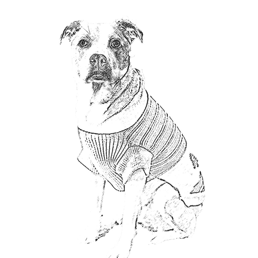 Pet Pencil Sketch Photoshop Action preview image.