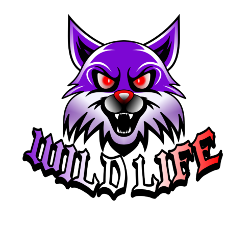 Wolfe Logo cover image.