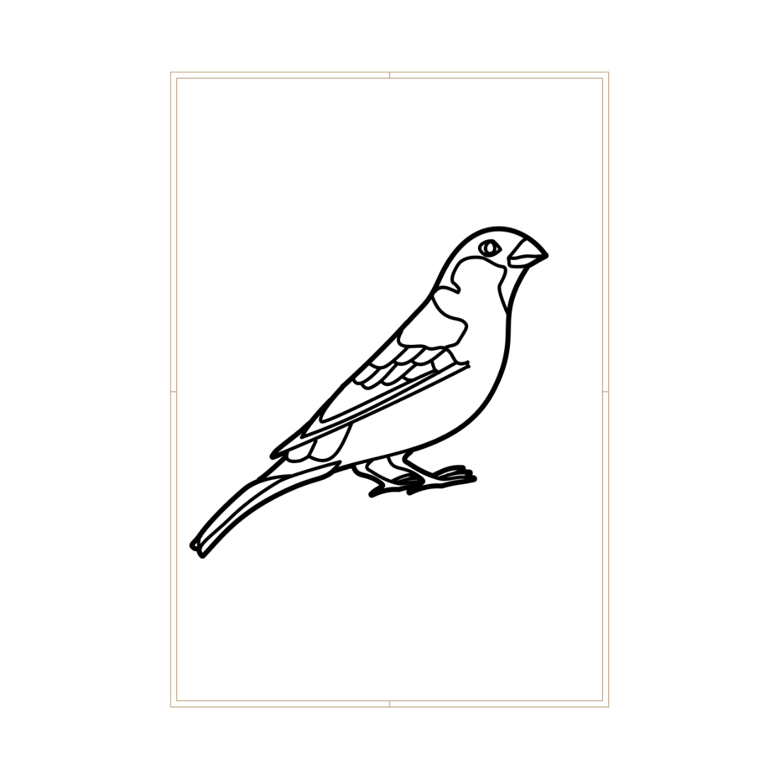 50 lovely birds coloring pages cover image.