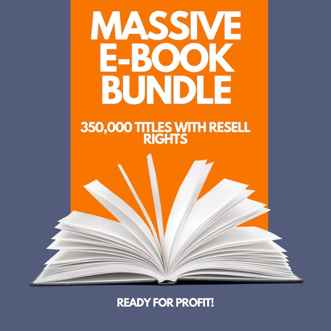 350,000+ eBooks Collection | PLR, MMR & Resale Rights Included | 15 Million Bonus Products Included mega preview image.