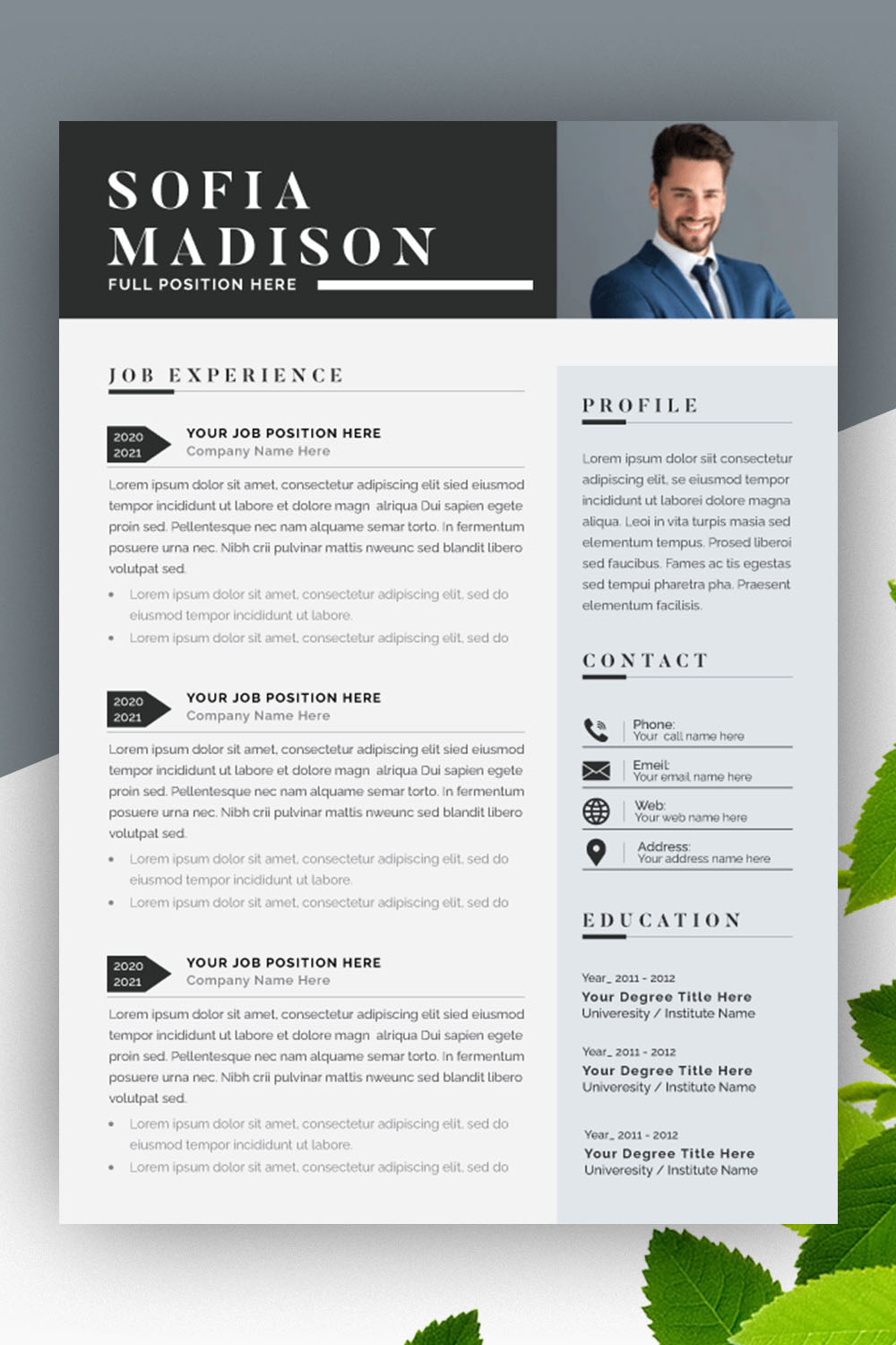 Professional Resume CV Template pinterest preview image.