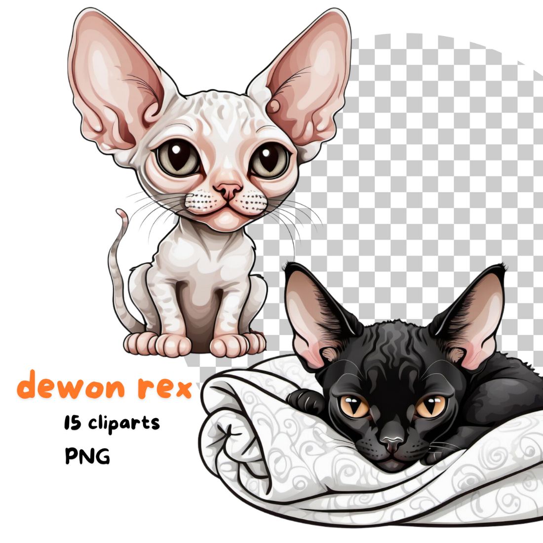 Devon Rex kitten cliparts bundle preview image.