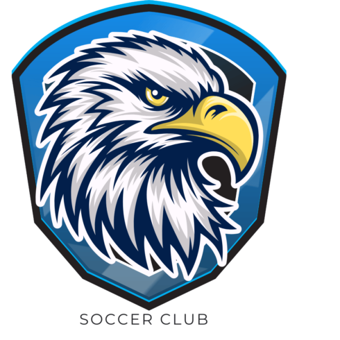 Blue White Eagle Badge Soccer Sport T-Shirt cover image.