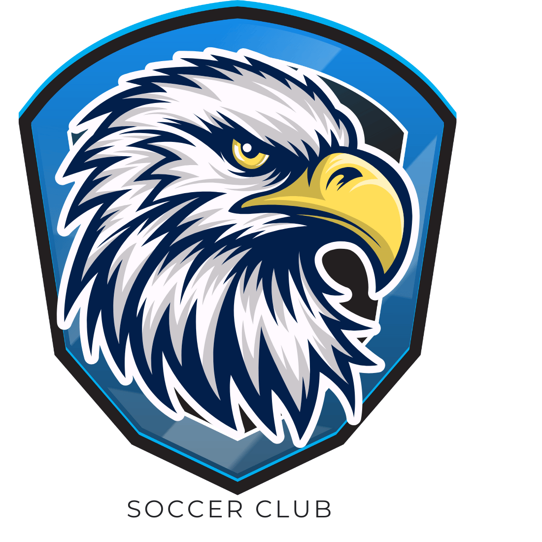 Blue White Eagle Badge Soccer Sport T-Shirt preview image.