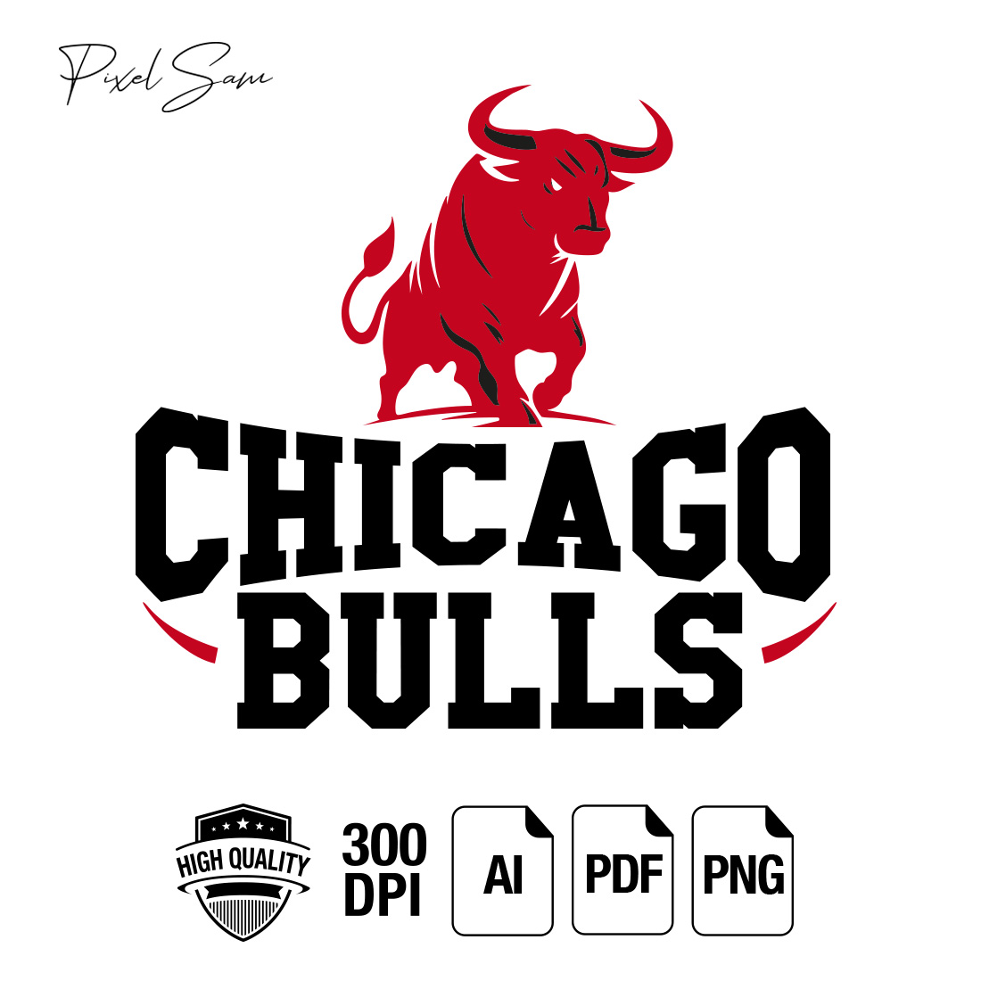 CHICAGO 2 SPORT T-SHIRT DESIGN preview image.