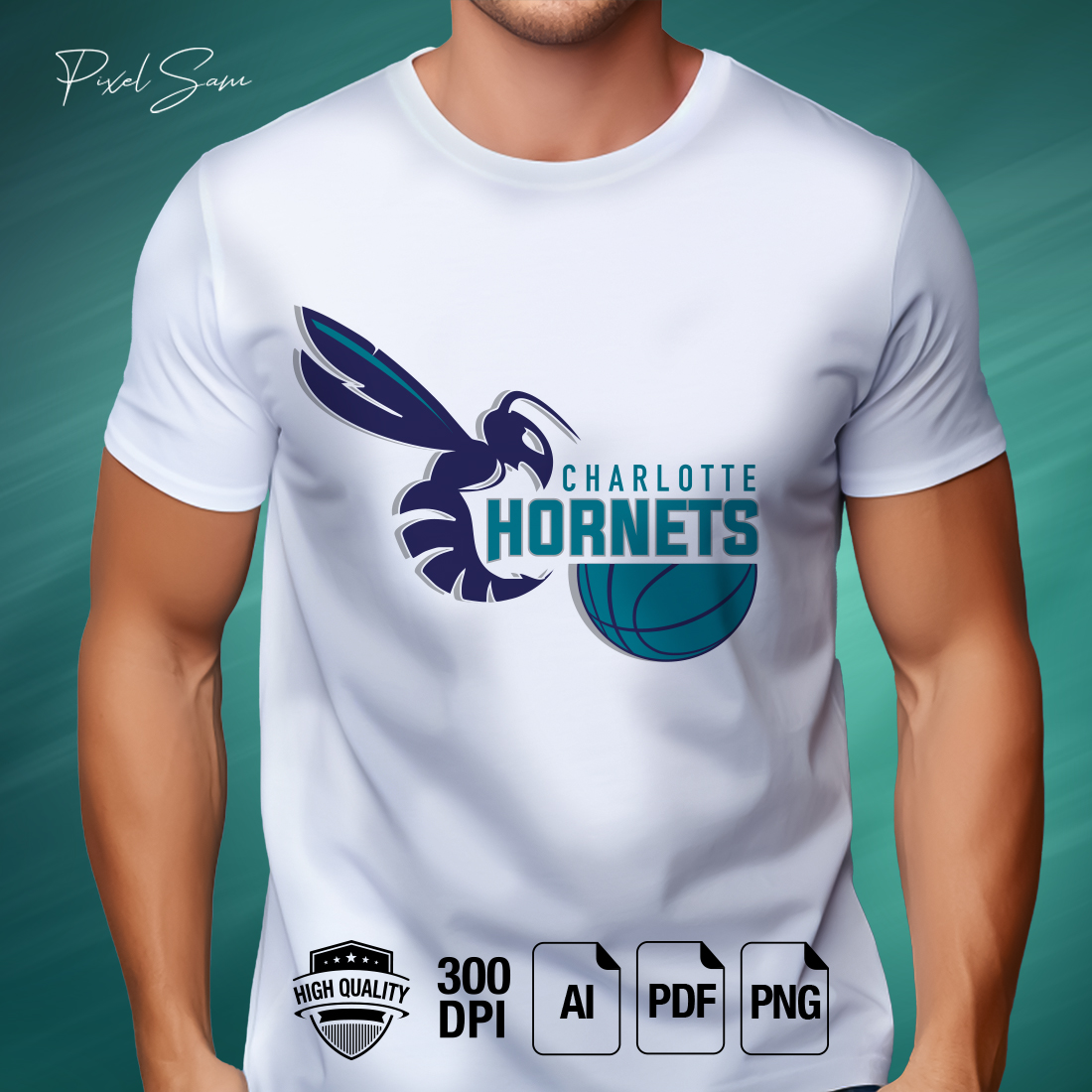 HORNETS SPORT TSHIRT DESIGN cover image.