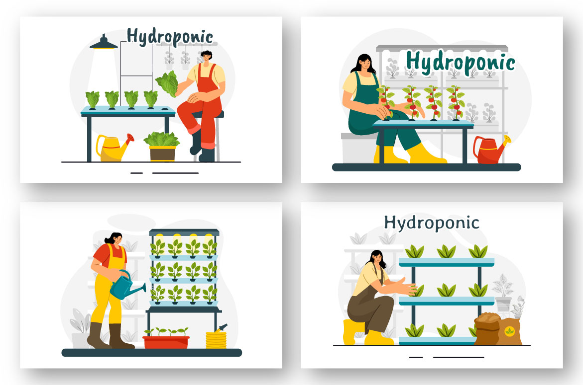 hydroponic 02 682