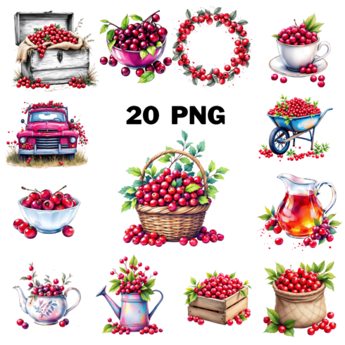 Watercolor Cranberries Clipart Bundle cover image.