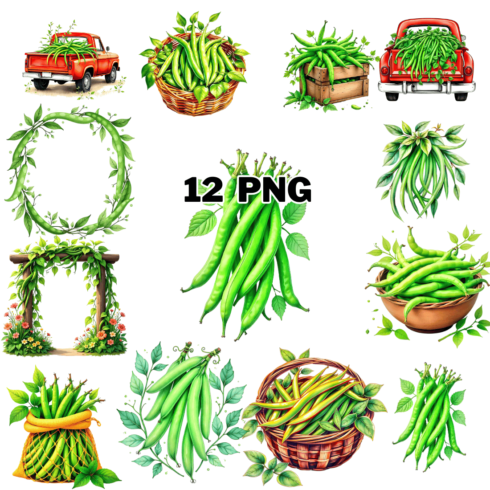 Watercolor Green Beans Sublimation Clipart Bundle cover image.