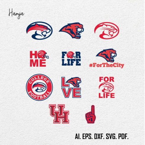 For The City Svg Bundle, For The City logo Svg, NCAA Svg, Sport Svg, Football team Svg, Digital download cover image.