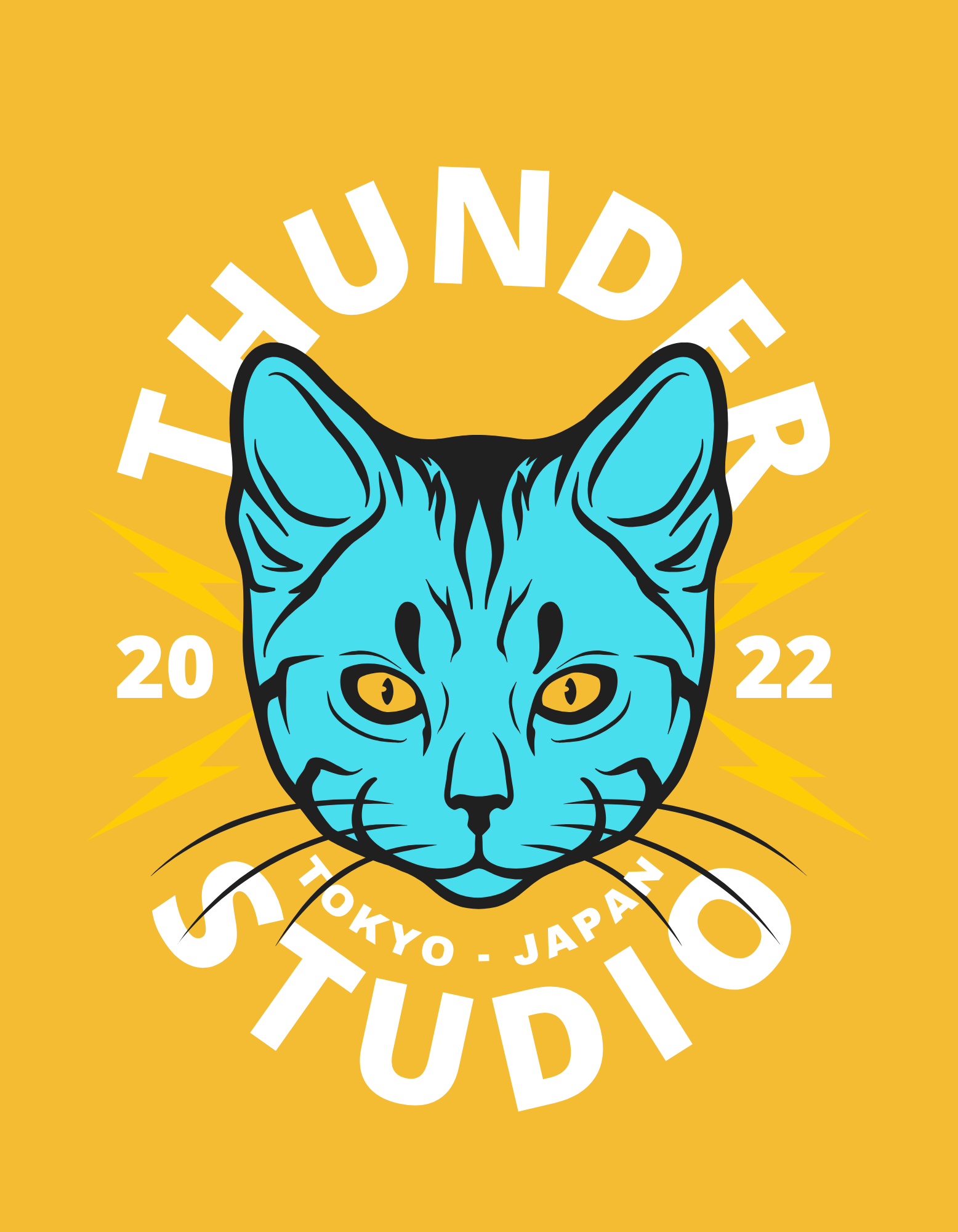 thunder cat t shirt 20241111 193404 0000 405