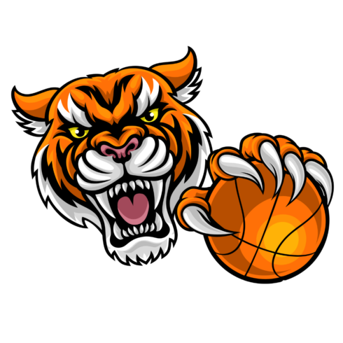 Tiger Graphics cover image.