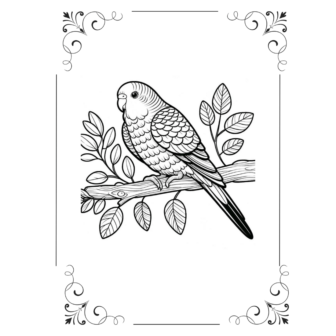 50 wild animals coloring book pages cover image.