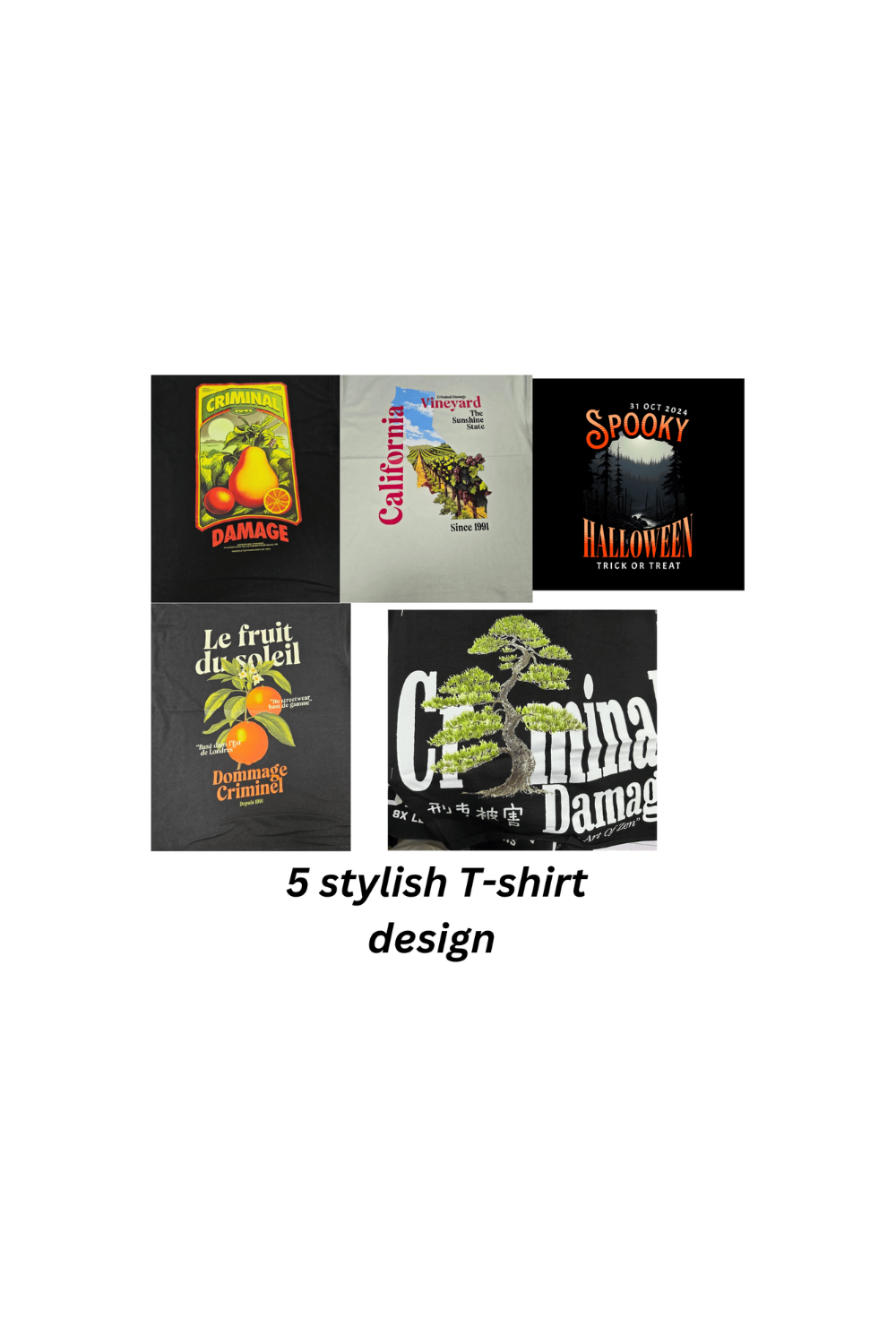 5 stylish T-shirt pinterest preview image.