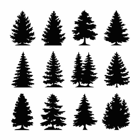 Vector Silhouettes of 26 Unique Pine Trees - MasterBundles