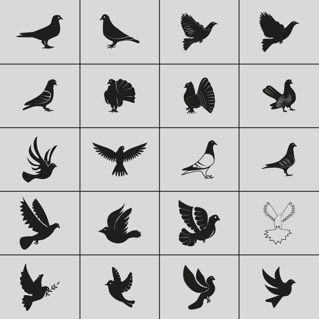 Pigeon hand-drawn designs cover image.