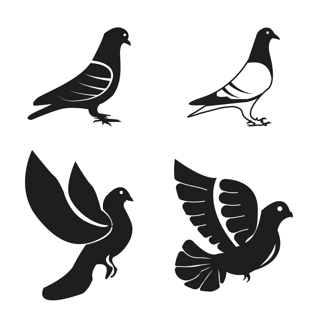 Pigeon hand-drawn designs preview image.