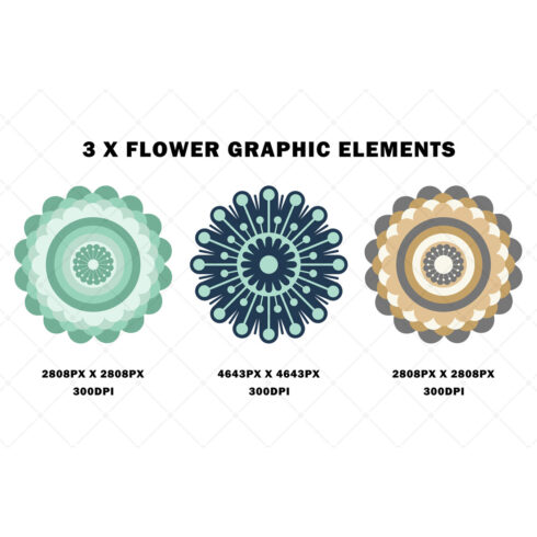 3 X Graphic Design Flower Elements cover image.