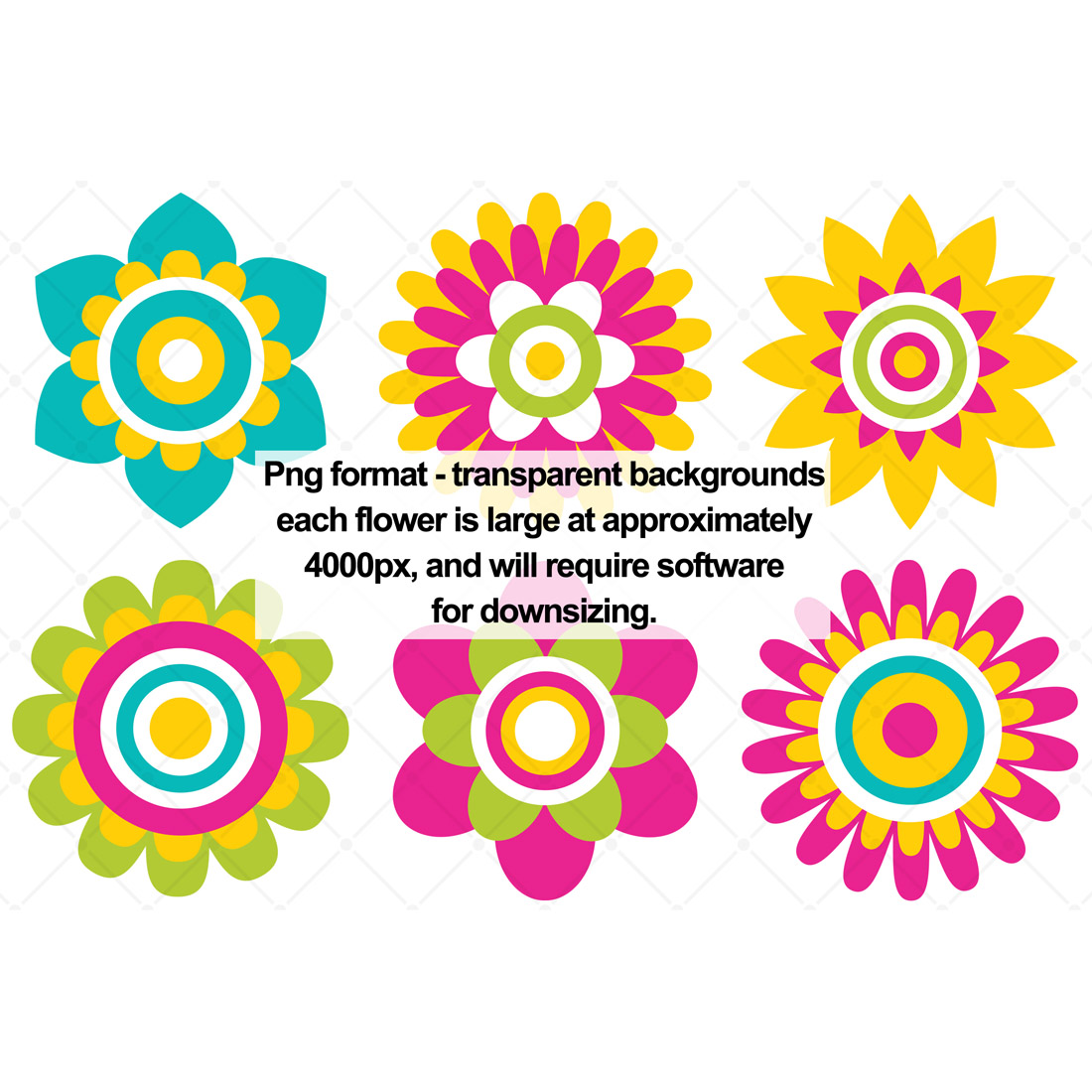 6 Colorful Floral Design Elements preview image.