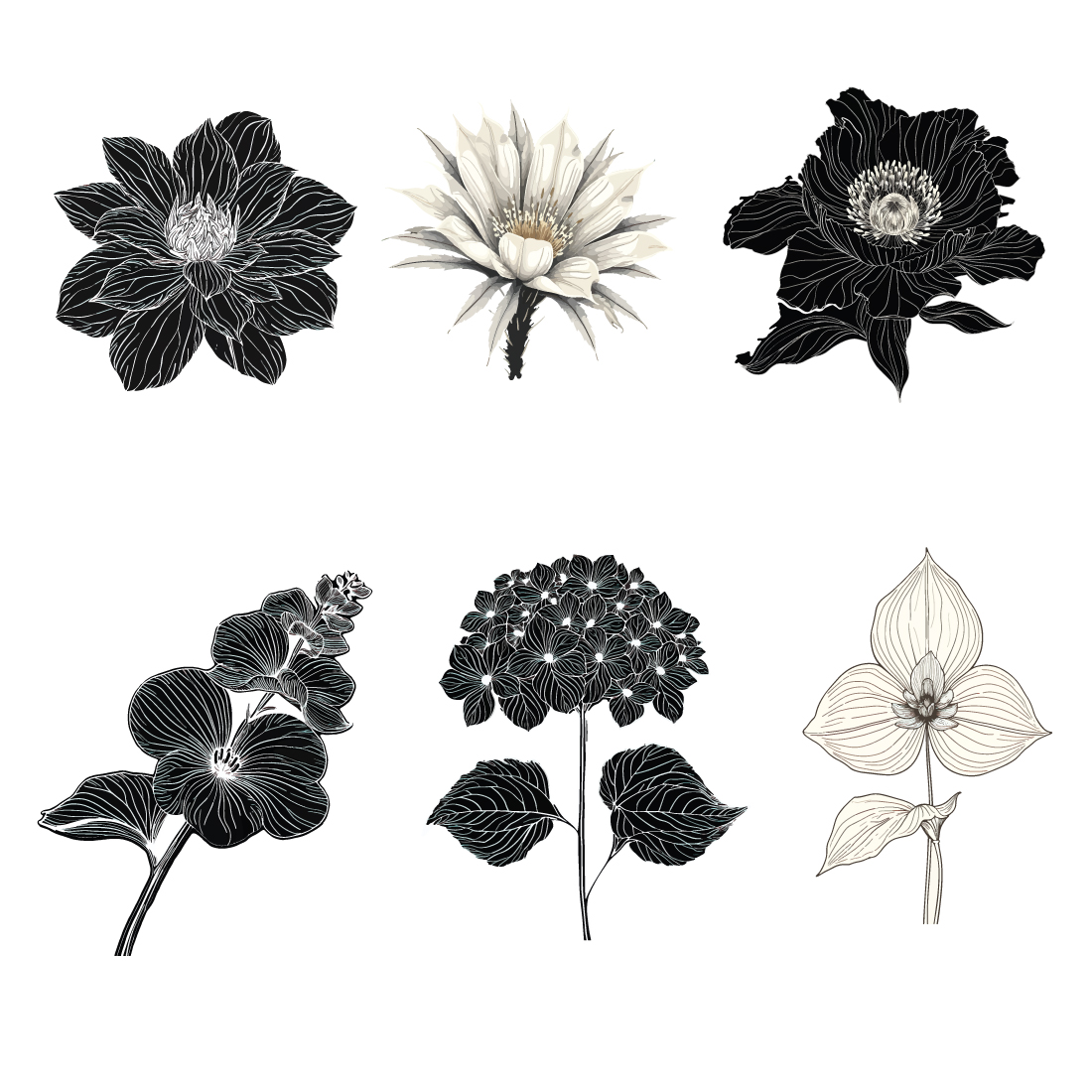 Master Bundle: Flower Silhouettes Collection preview image.